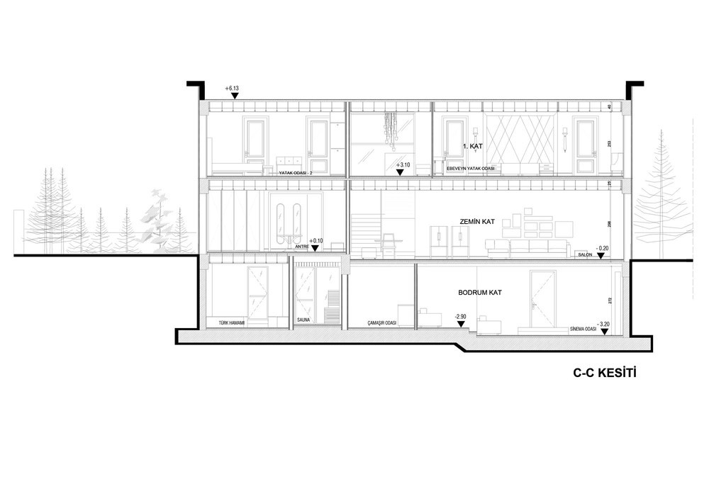 b evi (51).jpg