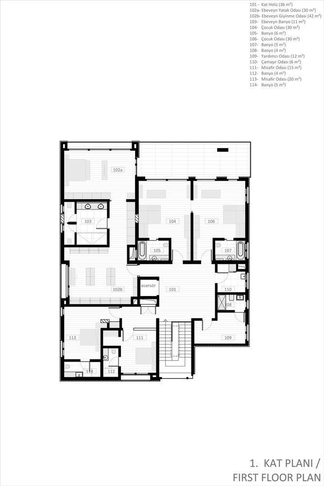 z (4).jpg