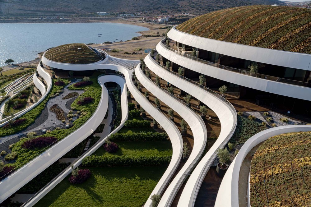 _yercekim (1).jpg