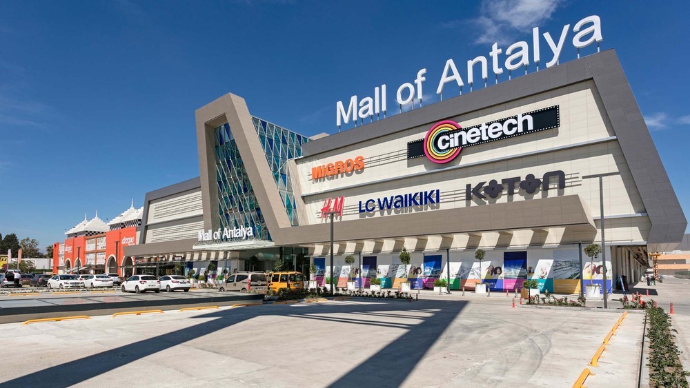 _MOA01.jpg