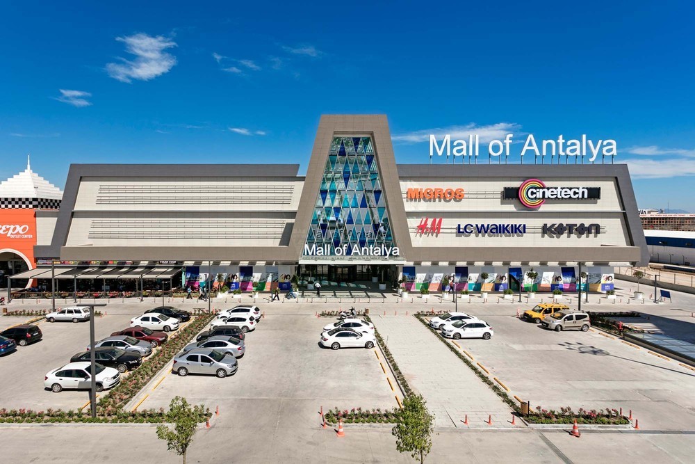 _MOA02.jpg