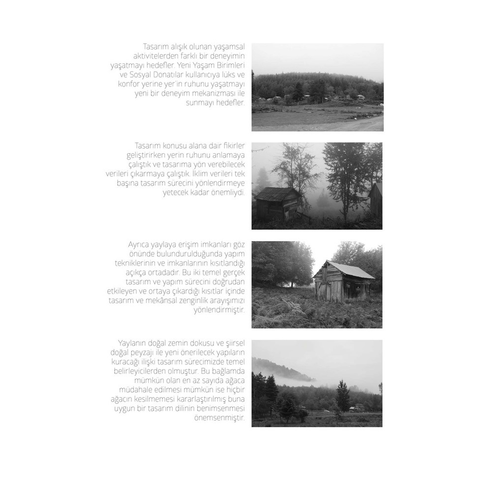 arboreal (29).jpg
