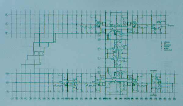 z (1,1).jpg