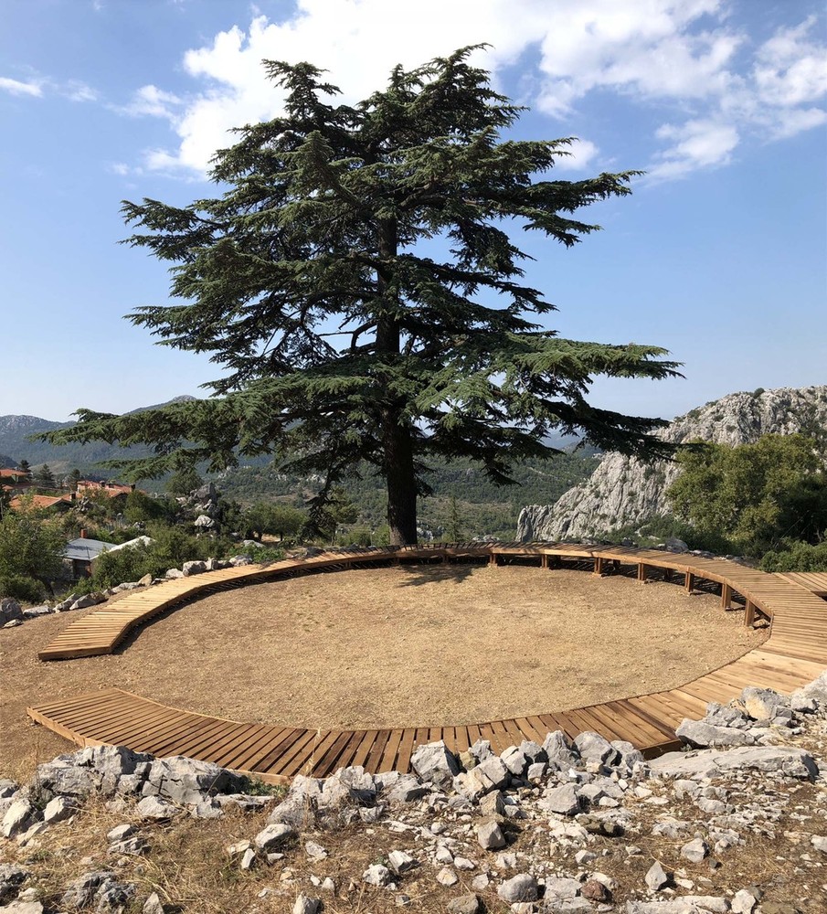 _harman (12).jpg