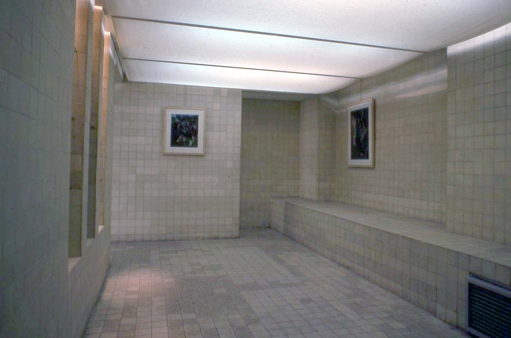 446-Image-42.jpg