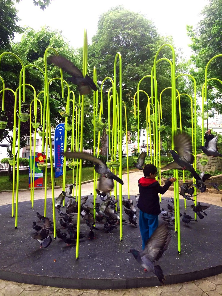 image-03.jpg