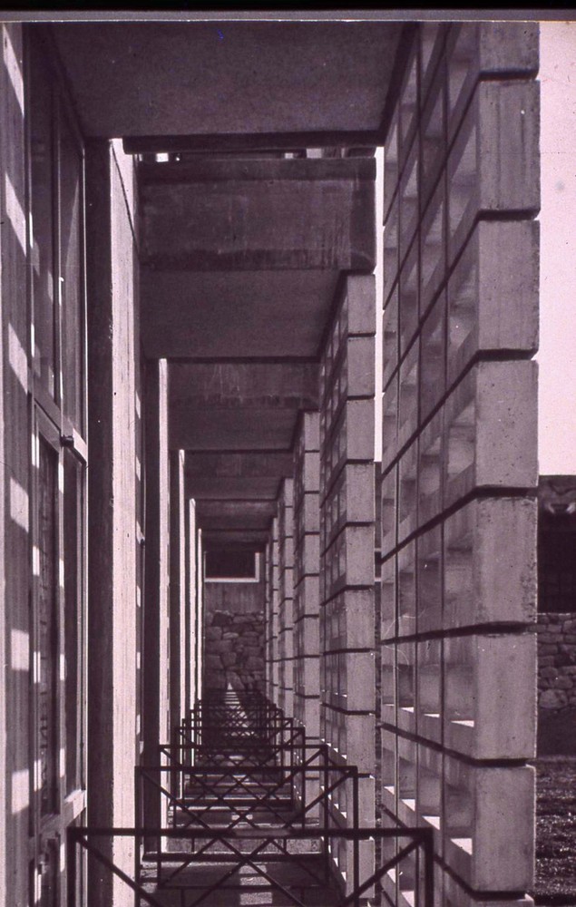 Image-29.jpg