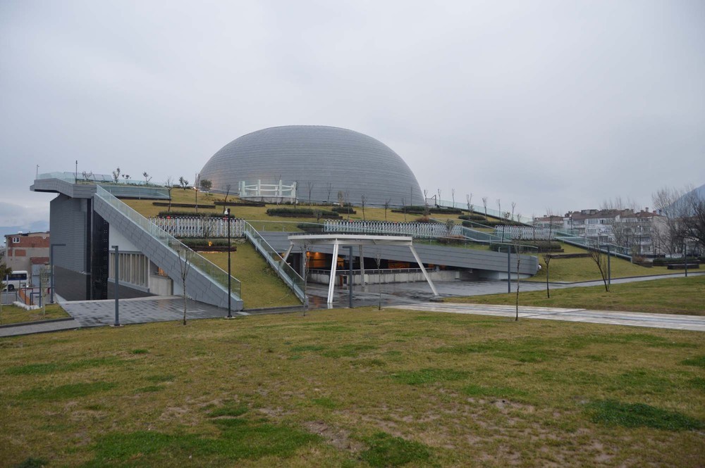 1 (20).jpg