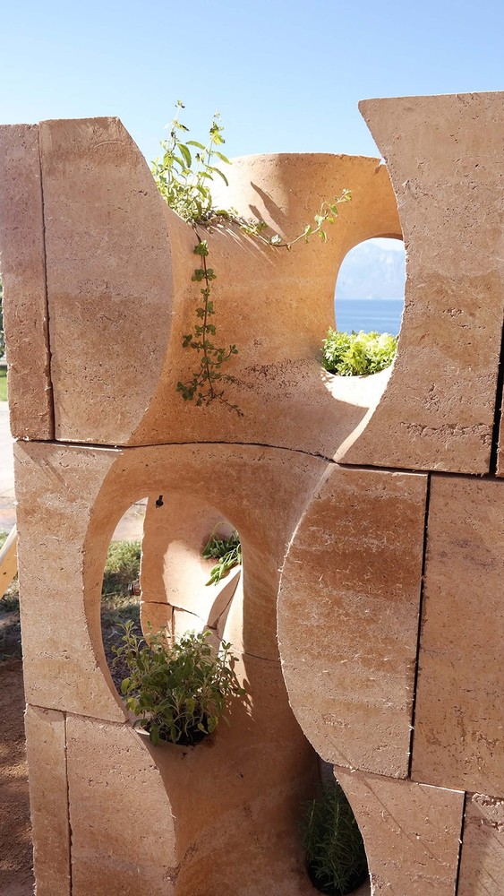 CAW-image11.jpg