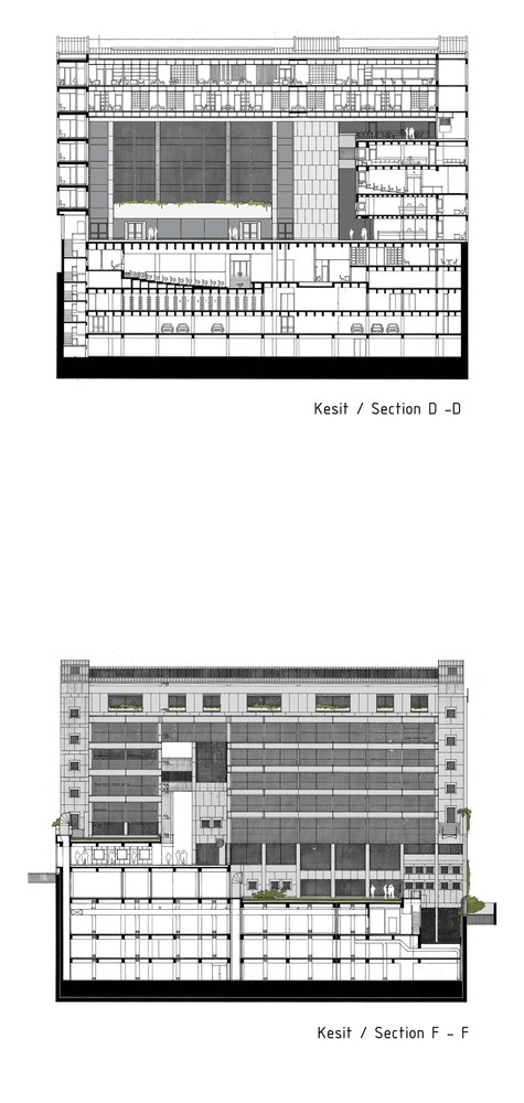 z6.jpg