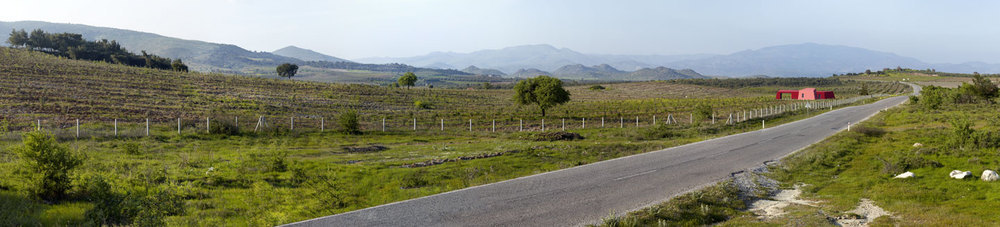 327-01 d.jpg
