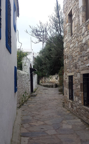 Foto 1_res (10).jpg