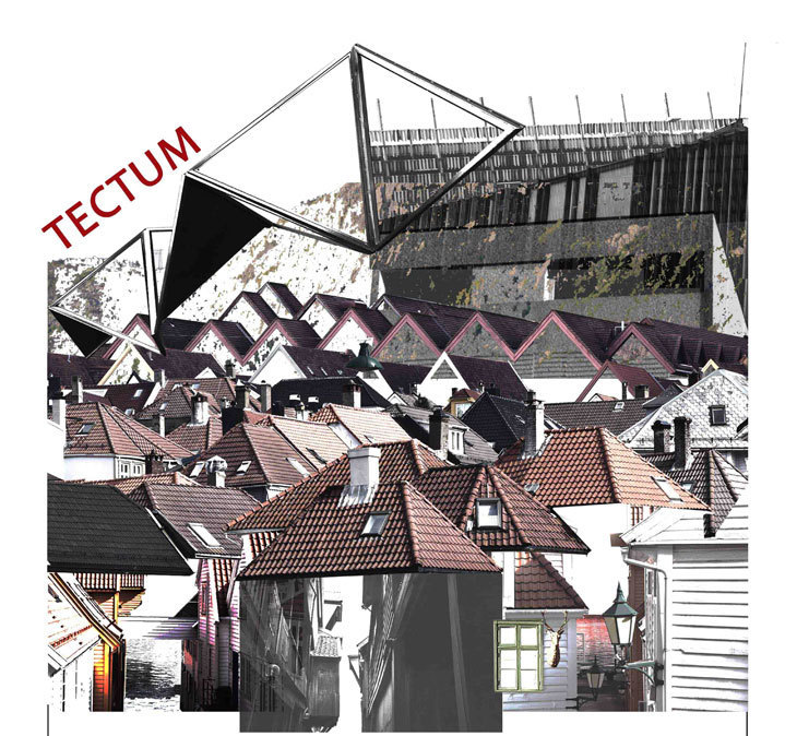 tectum.jpg