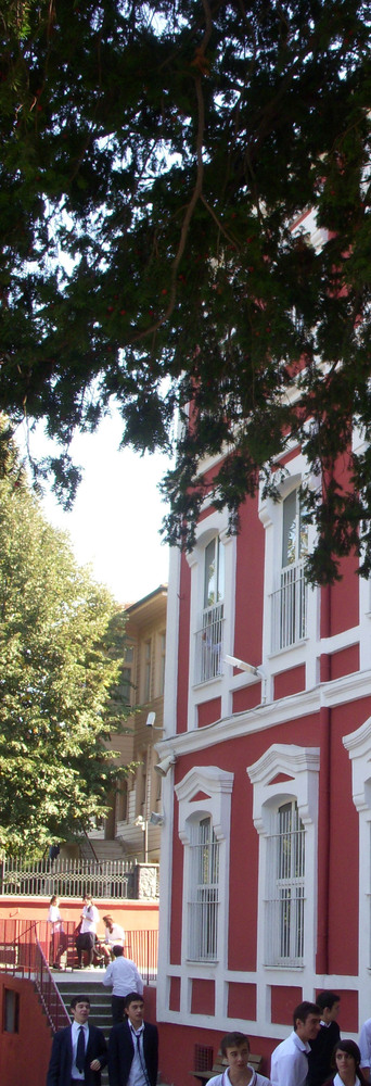 DSCN6795.jpg