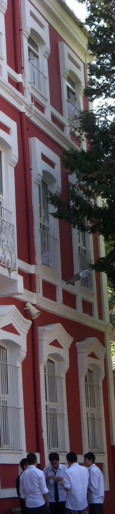DSCN6803.jpg
