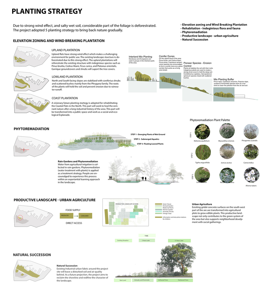06 PLANTING-STRATEGY1
