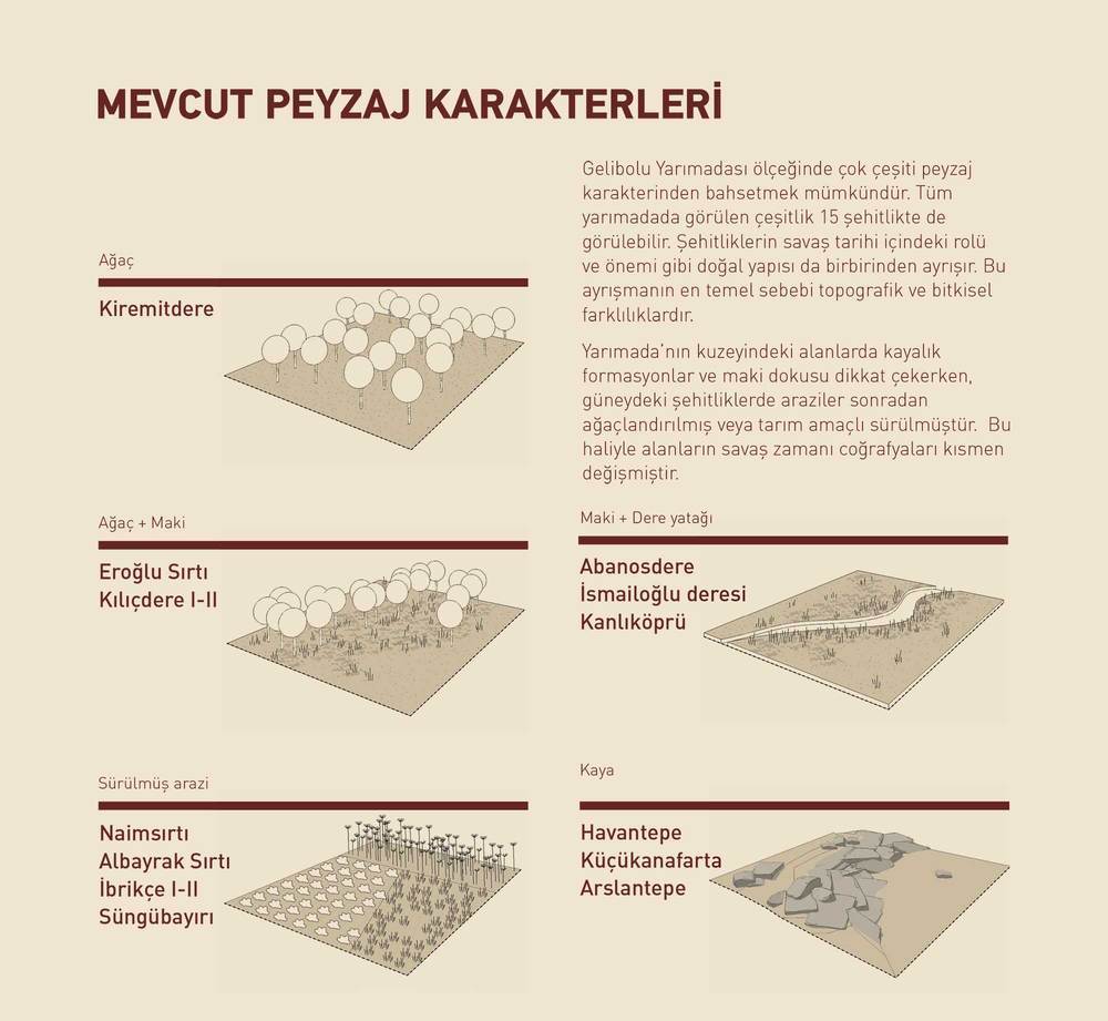 82.jpg