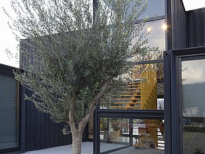 Dua-Konteyner-32.jpg