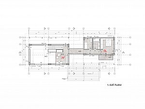 z (3)bademliev.jpg