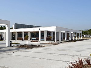 sirriyircalianadolulisesi (17).jpg