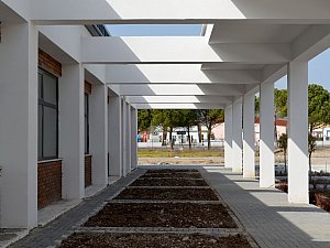 sirriyircalianadolulisesi (21).jpg
