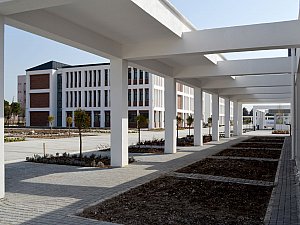 sirriyircalianadolulisesi (22).jpg