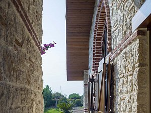 cemal_emden (6).jpg
