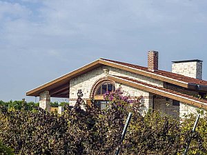 cemal_emden2 (1).jpg
