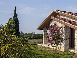 cemal_emden2 (3).jpg