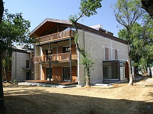 IMG_3521np12.jpg
