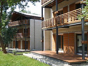 IMG_3524np12.jpg