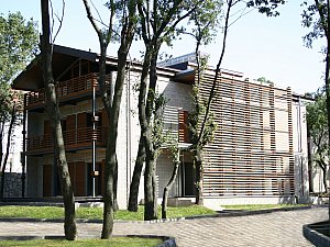 IMG_3568np12.jpg