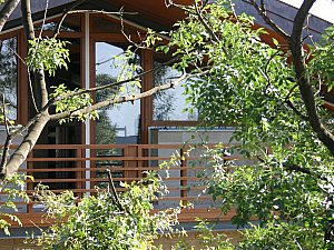 IMG_3589np12.jpg