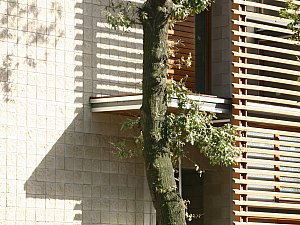 IMG_3590np12.jpg