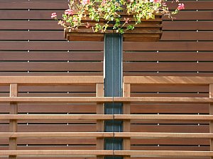 IMG_3598np12.jpg