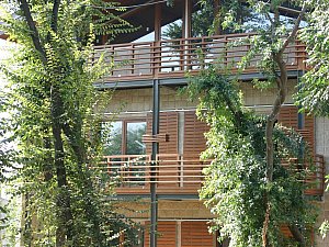 IMG_3600np12.jpg