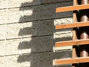 IMG_3603np12.jpg