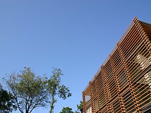 IMG_3619np12.jpg