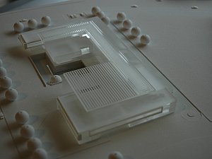 DSC_0016.JPG