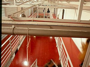 Untitled-49.jpg