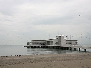 IMG_3920.jpg