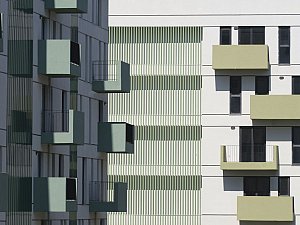 05-KIPTASSilivri_©CemalEmden_00225.jpg