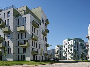 10-KIPTASSilivri_©CemalEmden_00242.jpg