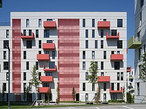 13-KIPTASSilivri_©CemalEmden_00271.jpg