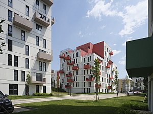 15-KIPTASSilivri_©CemalEmden_00276.jpg