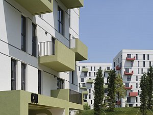 18-KIPTASSilivri_©CemalEmden_00279.jpg