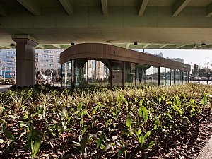 12_Gürkan Akay (1).jpg