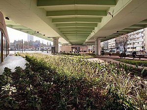 12_Gürkan Akay (2).jpg
