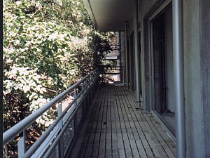 lise-f3.jpg