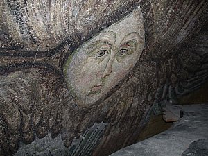 IMG_5570.JPG
